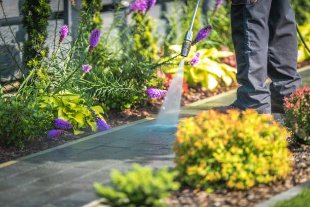 Best Patio and Deck Pressure Washing  in Fairport, NY